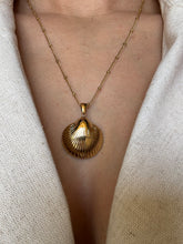 Load image into Gallery viewer, Golden Shell - Necklace
