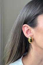 Load image into Gallery viewer, Beauty - Earrings
