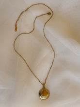 Load image into Gallery viewer, Golden Shell - Necklace

