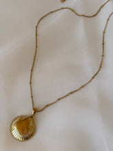 Load image into Gallery viewer, Golden Shell - Necklace
